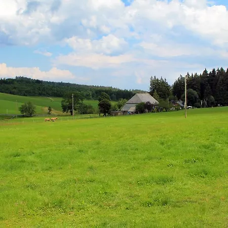 Ferienwohnung Schwarzwaldhof Titisee-Neustadt Exterior foto