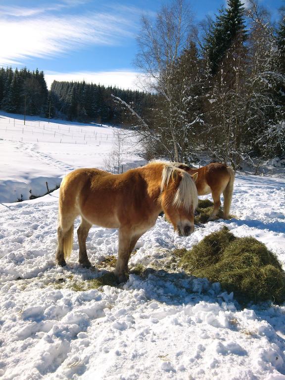 Schwarzwaldhof Titisee-Neustadt
