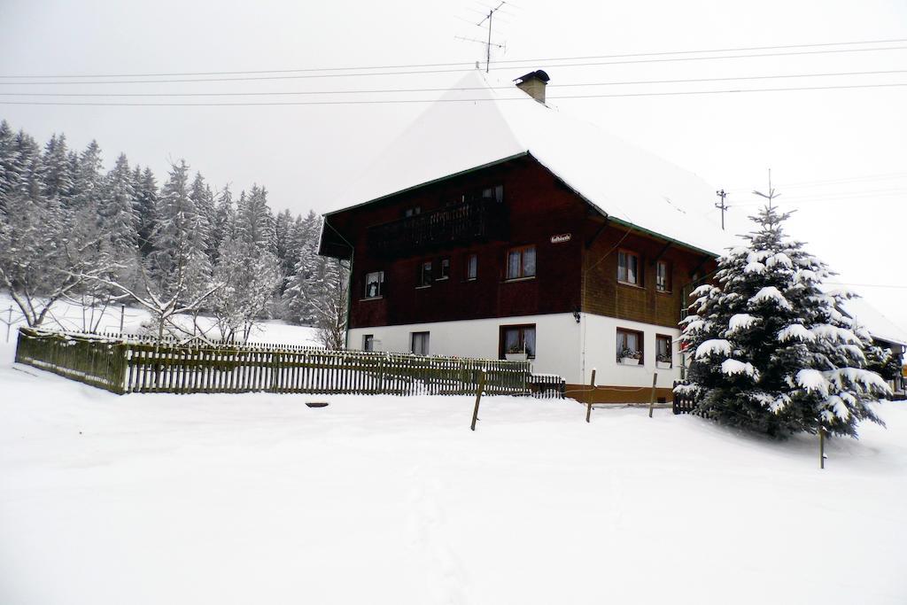 Schwarzwaldhof Appartement