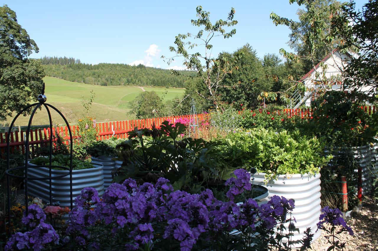 Appartement Schwarzwaldhof