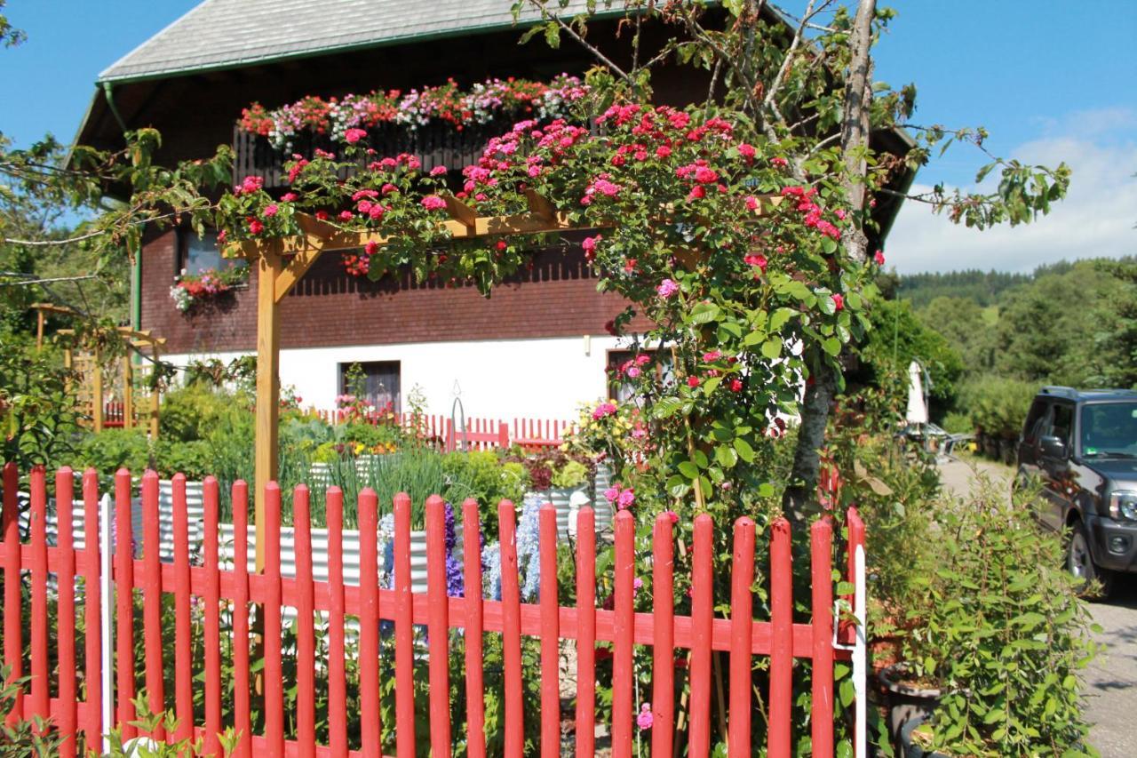 Schwarzwaldhof Appartement Titisee-Neustadt